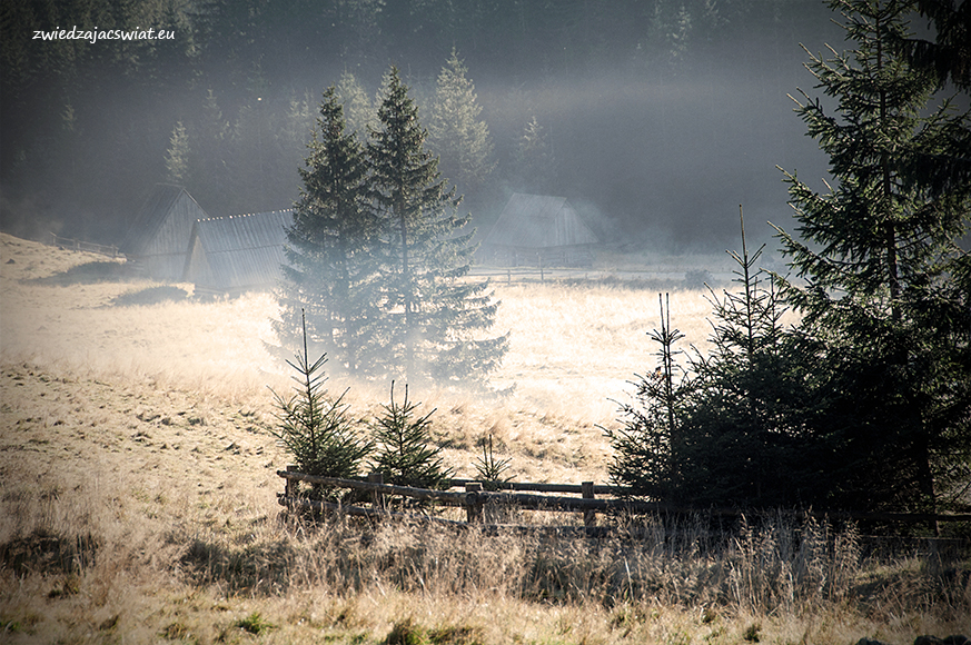 poranek w Chochołowskiej